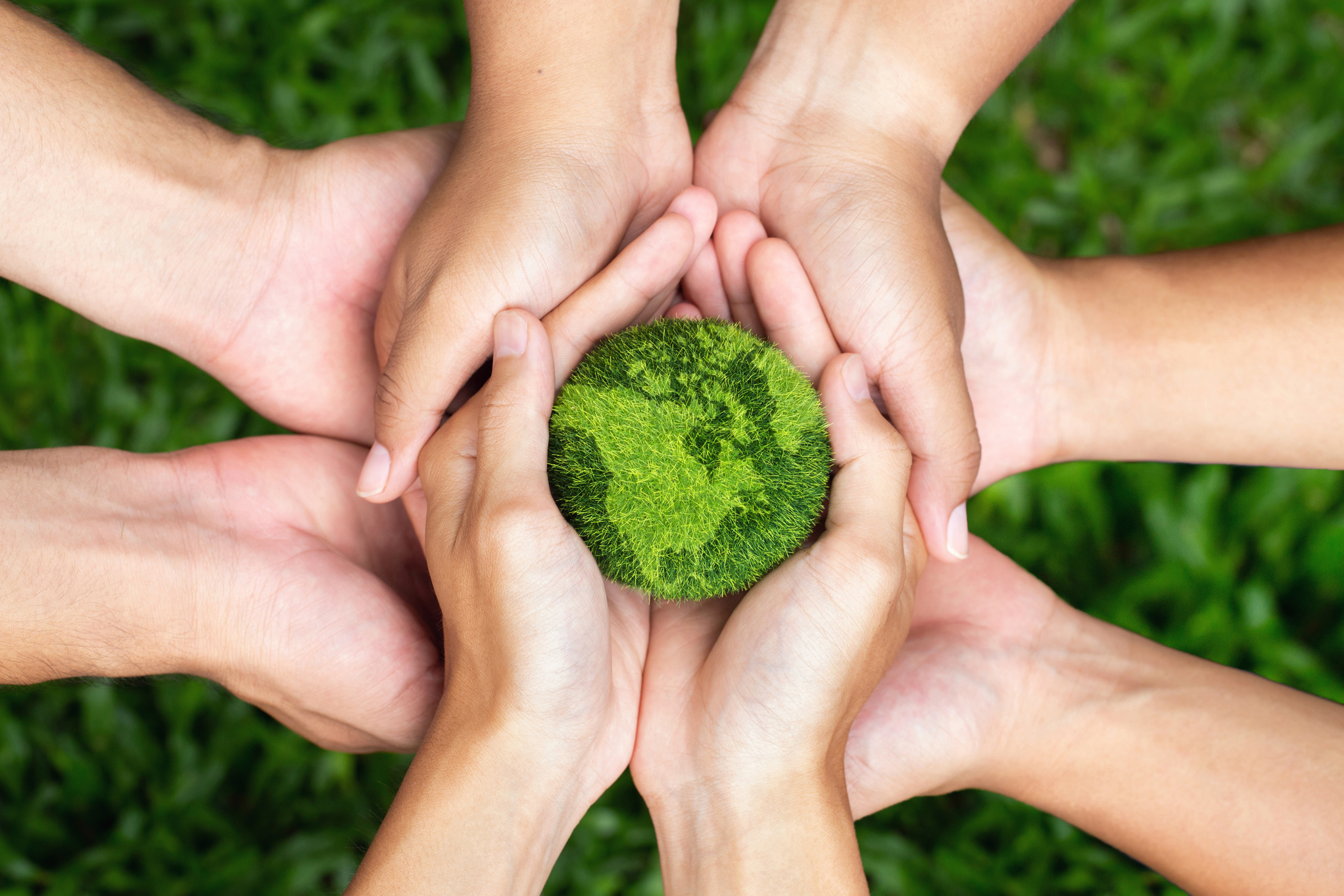 environment Earth Day hands holding together a green earth.